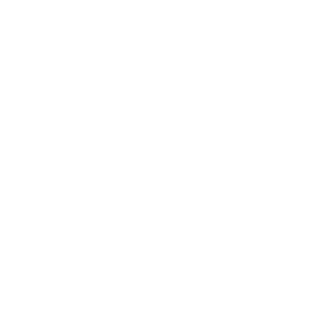 FIT